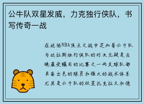公牛队双星发威，力克独行侠队，书写传奇一战