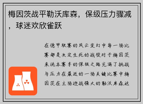 梅因茨战平勒沃库森，保级压力骤减，球迷欢欣雀跃