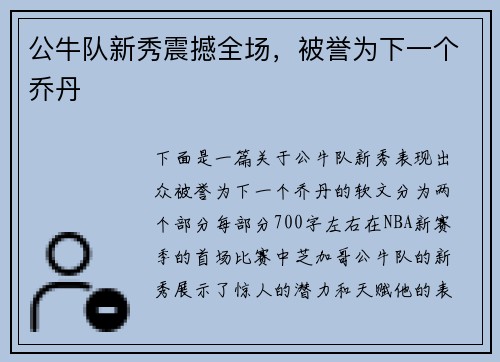 公牛队新秀震撼全场，被誉为下一个乔丹