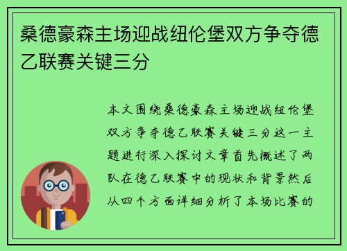 桑德豪森主场迎战纽伦堡双方争夺德乙联赛关键三分